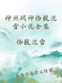 神州战神杨毅沈雪小说全集