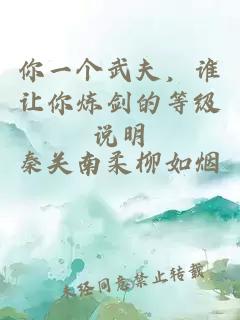 你一个武夫，谁让你炼剑的等级说明