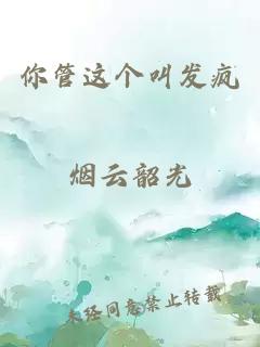 你管这个叫发疯