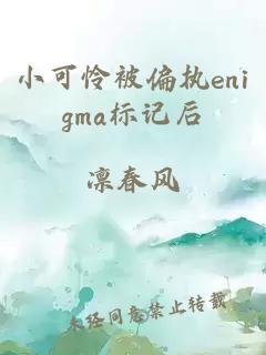 小可怜被偏执enigma标记后