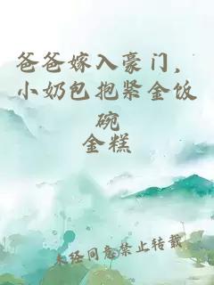 爸爸嫁入豪门，小奶包抱紧金饭碗