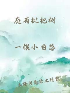 庭有枇杷树