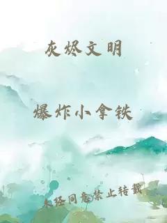 灰烬文明