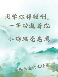 同学你锦鲤啊,一等功追着跑