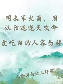 明末军火商,用汉阳造逆天改命