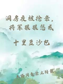 洞房夜被抢亲，将军狠狠惩戒