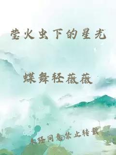 莹火虫下的星光