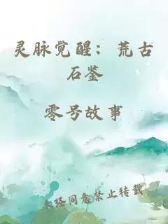 灵脉觉醒：荒古石鉴