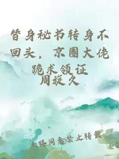 替身秘书转身不回头，京圈大佬跪求领证