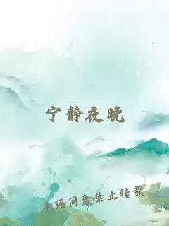 宁静夜晚