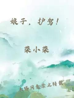 娘子，护驾！