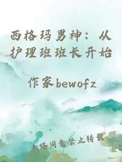 西格玛男神：从护理班班长开始