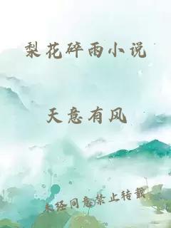 梨花碎雨小说