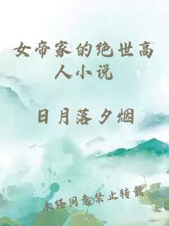 女帝家的绝世高人小说