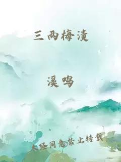 三两梅渍