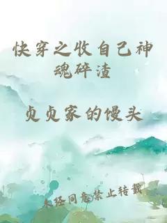 快穿之收自己神魂碎渣