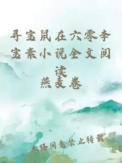 寻宝鼠在六零李宝素小说全文阅读