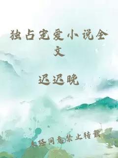 独占宠爱小说全文