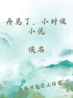 再见了，小时候小说