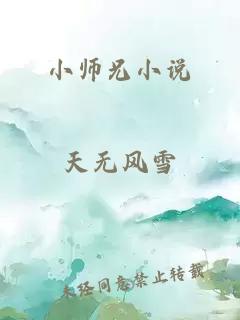 小师兄小说
