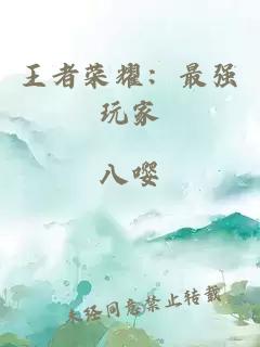 王者荣耀：最强玩家