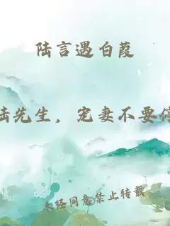 陆言遇白葭