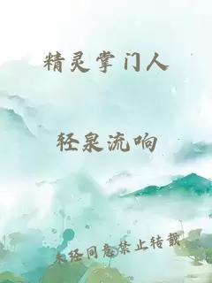 精灵掌门人
