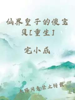 仙界皇子的傻宝贝[重生]