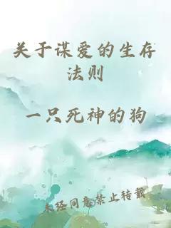 关于谋爱的生存法则