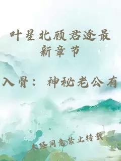 叶星北顾君逐最新章节