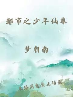 都市之少年仙尊