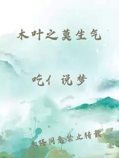 木叶之莫生气