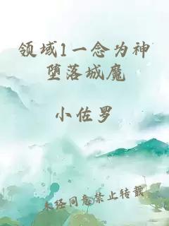 领域1一念为神堕落城魔