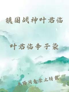 镇国战神叶君临