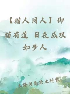 【猎人同人】御猫有道 日夜成双