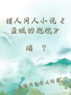 猎人同人小说《盗贼的抱枕》