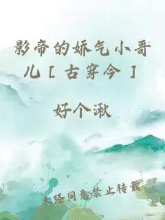 影帝的娇气小哥儿［古穿今］