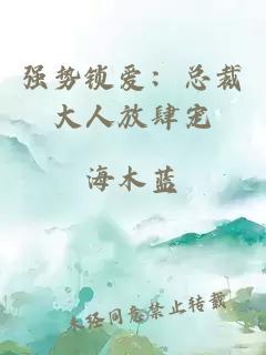 强势锁爱：总裁大人放肆宠