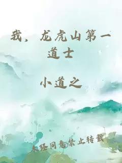 我,龙虎山第一道士
