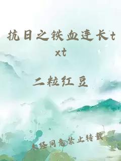 抗日之铁血连长txt