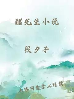 醋先生小说