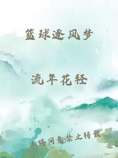篮球逐风梦