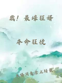 我！最壕狂婿