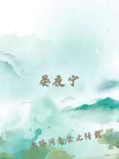 晏夜宁