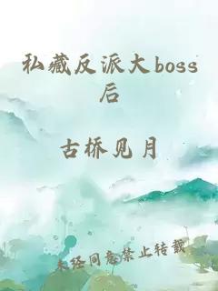 私藏反派大boss后
