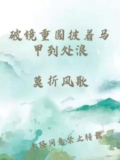 破镜重圆披着马甲到处浪