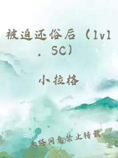 被迫还俗后（1v1，SC）
