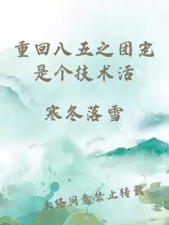 重回八五之团宠是个技术活