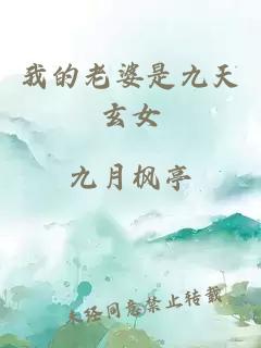 我的老婆是九天玄女