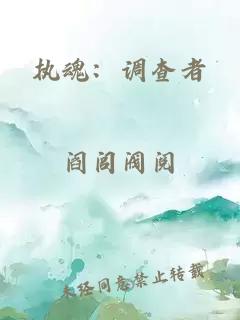 执魂：调查者